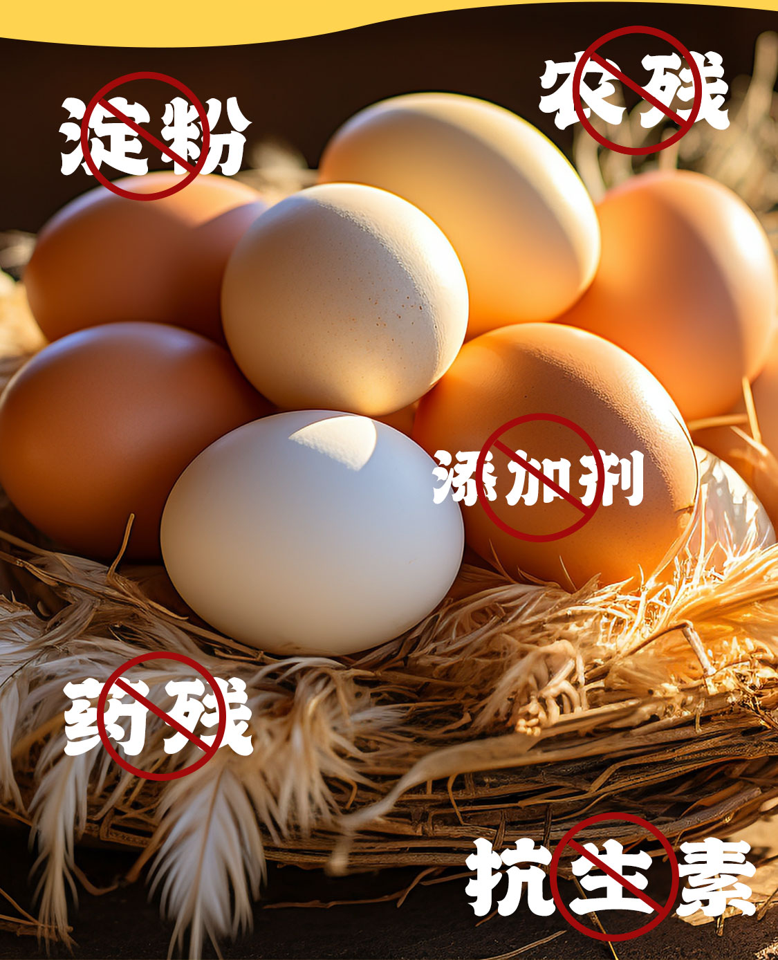 100詳情(2)_05.jpg
